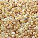 Raw Milky BAROQUE Baltic amber holed loose beads