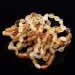 10 Raw Mix BEANS Baltic amber teething bracelets 14cm