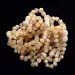 10 Big Butter BAROQUE Baltic amber teething bracelets 14cm