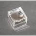Small magnifying box for fossil stones