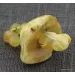 Baltic amber teething dummy - pacifier