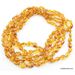 5 Honey larger BEANS Baltic amber adult wholesale necklaces
