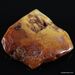 Antique butter large Baltic amber fossil 33g stone