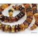 Natural honey BUTTONS Baltic amber necklace 25in