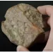 Massive genuine Baltic amber fossil stone 132g