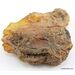 Massive genuine Baltic amber fossil stone 123g
