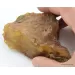 Massive genuine Baltic amber fossil stone 123g