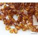 10 Cognac Leave  Baltic amber elastic adult bracelets