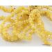 10 Butter BAROQUE beads Baltic amber adult stretch bracelets