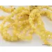 10 Butter BAROQUE beads Baltic amber adult stretch bracelets