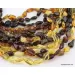 12 BEANS Baltic amber adult wholesale necklaces