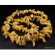Vintage Egg Yolk Thorns Baltic amber necklace 23in