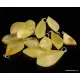 12 Butter Baltic amber CARVED silver pendants