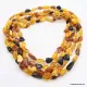 5 Multi Large BEANS Baltic amber adult wholesale necklaces