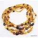 5 Multi Large BEANS Baltic amber adult wholesale necklaces