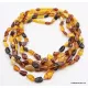5 Multi Large BEANS Baltic amber adult wholesale necklaces