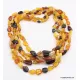 5 Multi Large BEANS Baltic amber adult wholesale necklaces