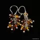 Grape bunch Baltic amber multi dangle earrings