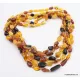 5 Multi Large BEANS Baltic amber adult wholesale necklaces