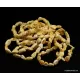10 White BEANS Baltic amber adult bracelets