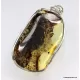 Large amulet Baltic amber silver pendant with insect inclusion 21g