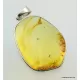 Large amulet Baltic amber silver pendant w insect inclusion 13g