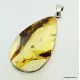 Large amulet Baltic amber silver pendant w insect inclusion 12g