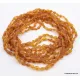 10 Honey RAW BEANS Baltic amber adult necklaces