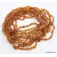 10 Honey RAW BEANS Baltic amber adult necklaces