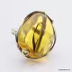 Baltic amber silver ring w insect inclusion