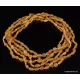 5 Honey RAW BEANS Baltic amber adult necklaces
