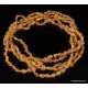 5 Honey RAW BEANS Baltic amber adult necklaces