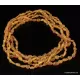 5 Honey RAW BEANS Baltic amber adult necklaces