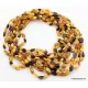 10 Multi BEANS Baltic amber adult wholesale necklaces 21in