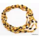5 Multi BEANS Baltic amber adult wholesale necklaces 21in