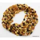 13 Multi BEANS Baltic amber adult wholesale necklaces 21in