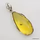 Baltic amber silver pendant w insect inclusion 10g