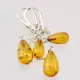 Teardrop Dangle Baltic Amber Fine Earrings