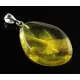 Rare Stalactite Fossil Free-Shaped Baltic Amber Pendant