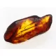 Insect inclusions in Baltic amber fossil large stone