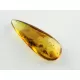 Fly Insect inclusions in Baltic amber fossil stone