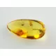 Fly Insect inclusions in Baltic amber fossil stone