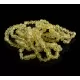10 Unpolished Lemon BAROQUE Baby teething Baltic amber bracelets 14cm