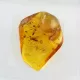 Trapped insect in Baltic amber with magnifying box