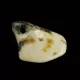 Baltic Amber Medallion pendant with hole