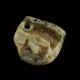 Baltic Amber Medallion pendant with hole