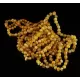 10 Butter Baltic Amber Anklets 25cm