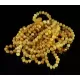 10 Butter Baltic Amber Anklets 25cm