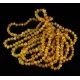 10 Butter Baltic Amber Anklets 25cm