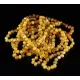 10 Butter Baltic Amber Anklets 25cm